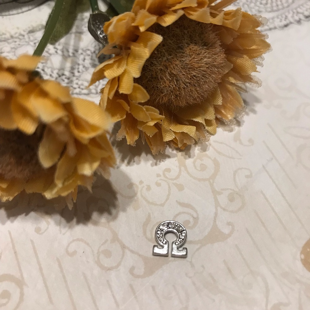 Origami Owl | Rhinestone Omega Floating Charm